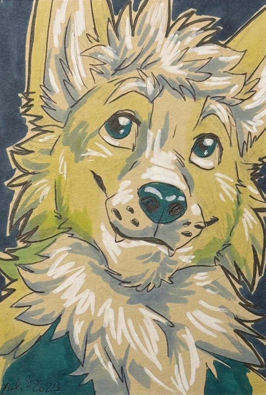 portrait by yul illustrations